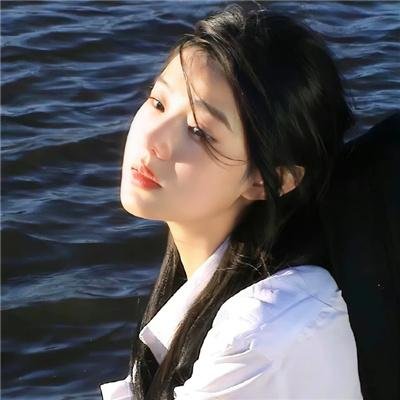 盗贼生涯